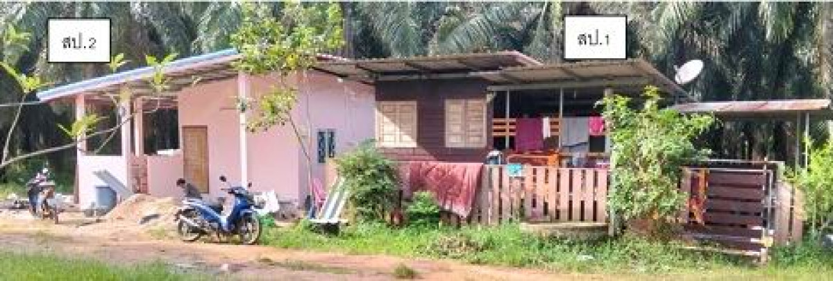 บ้านเดี่ยว สุราษฎร์ธานี ท่าชนะ ประสงค์ 410494