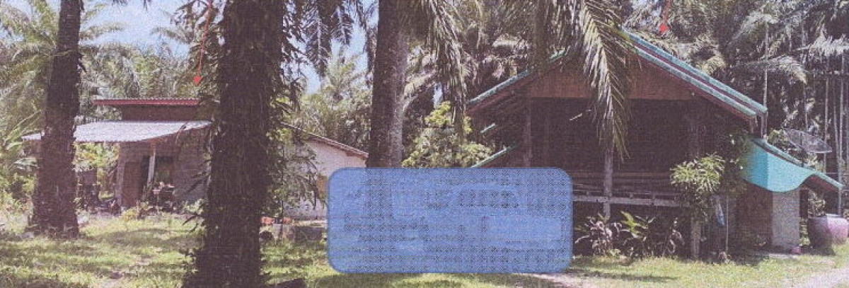 บ้านเดี่ยว กระบี่ ลำทับ ทุ่งไทรทอง 578175