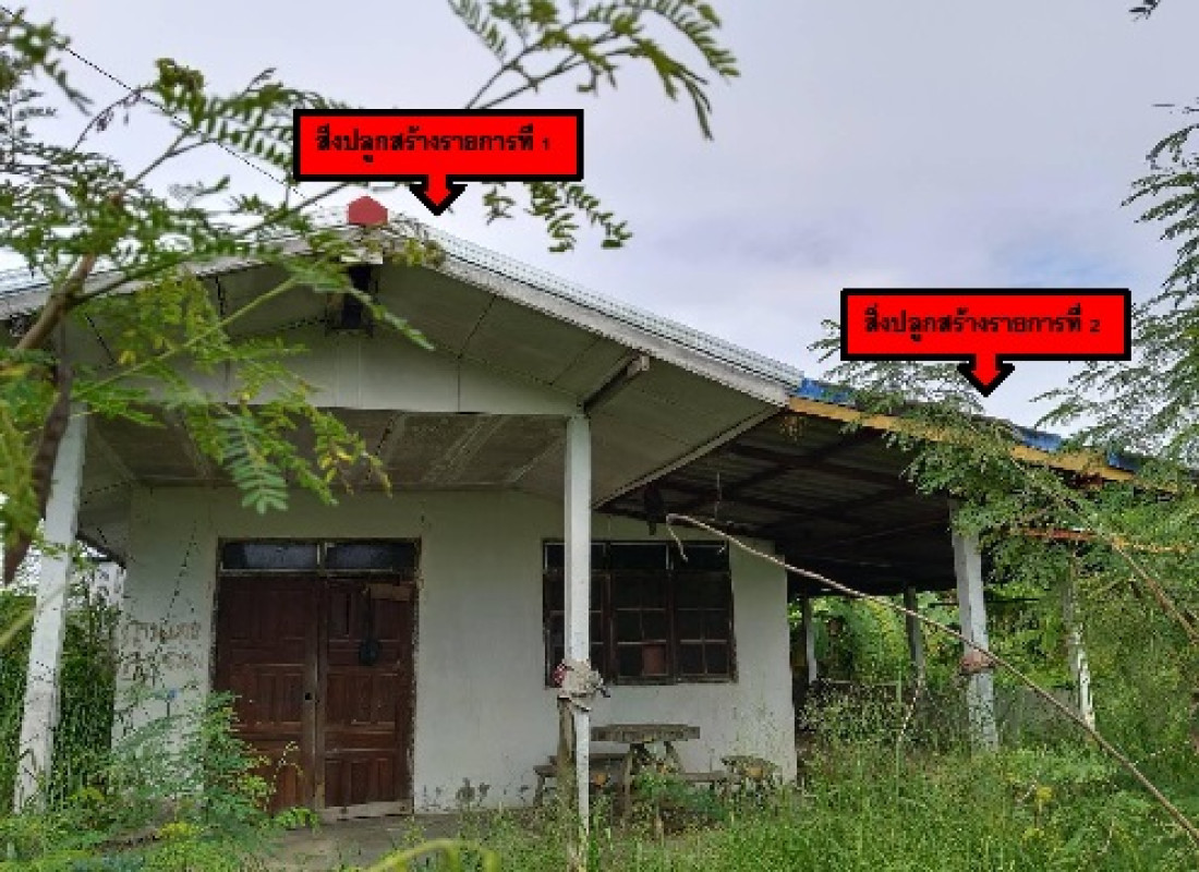 บ้านเดี่ยว ขอนแก่น บ้านฝาง ป่ามะนาว 346450