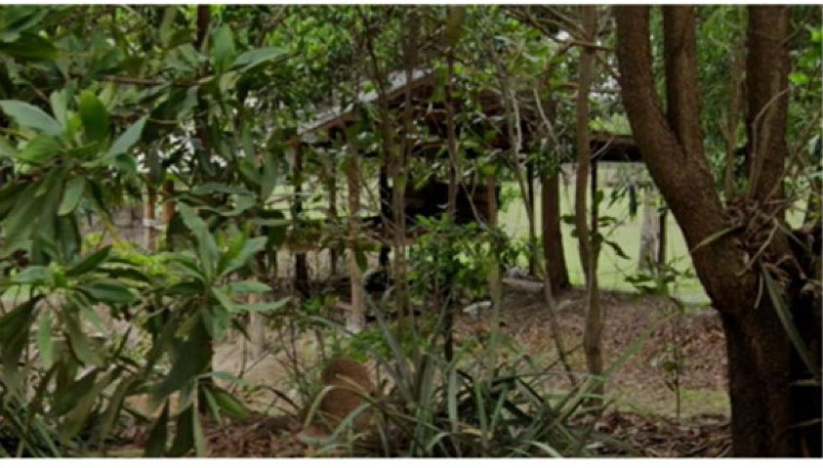 บ้านเดี่ยว นครพนม เมืองนครพนม คำเตย 349000