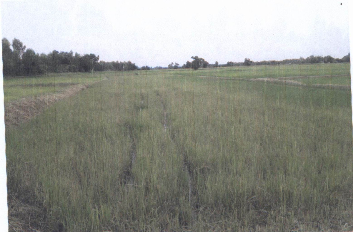 ที่ดินเปล่า ชัยภูมิ เมืองชัยภูมิ บ้านเล่า 320000