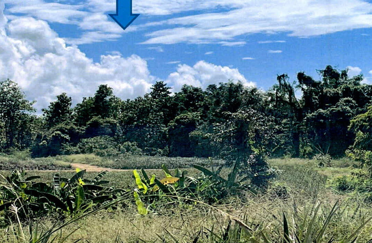 ที่ดินเปล่า ลำปาง เมืองลำปาง บ้านเสด็จ 317300