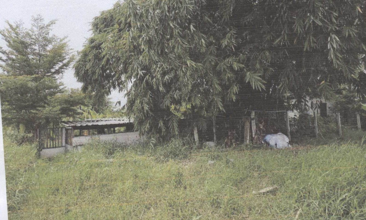 บ้านเดี่ยว ลพบุรี เมืองลพบุรี ดอนโพธิ์ 292620