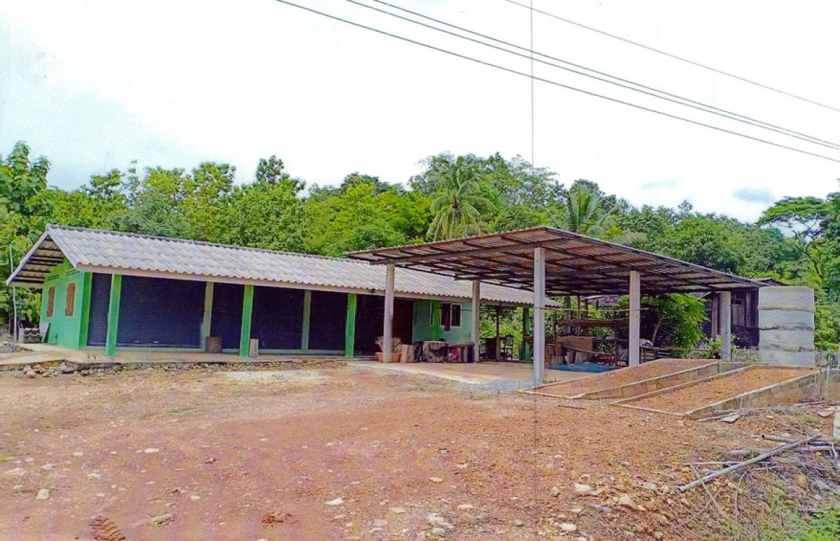 บ้านเดี่ยว พะเยา ปง ออย 819240