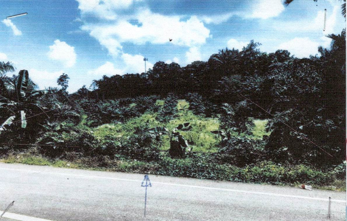 ที่ดินเปล่า กระบี่ คลองท่อม คลองท่อมเหนือ 4061640