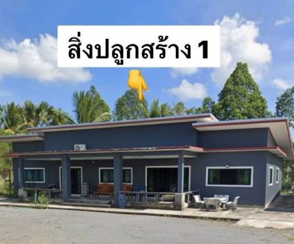 บ้านเดี่ยว นครศรีธรรมราช เชียรใหญ่ การะเกด 4398417