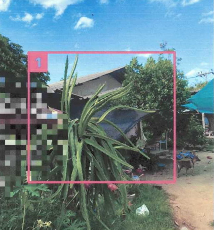 บ้านเดี่ยว นราธิวาส เมืองนราธิวาส บางนาค 1430390