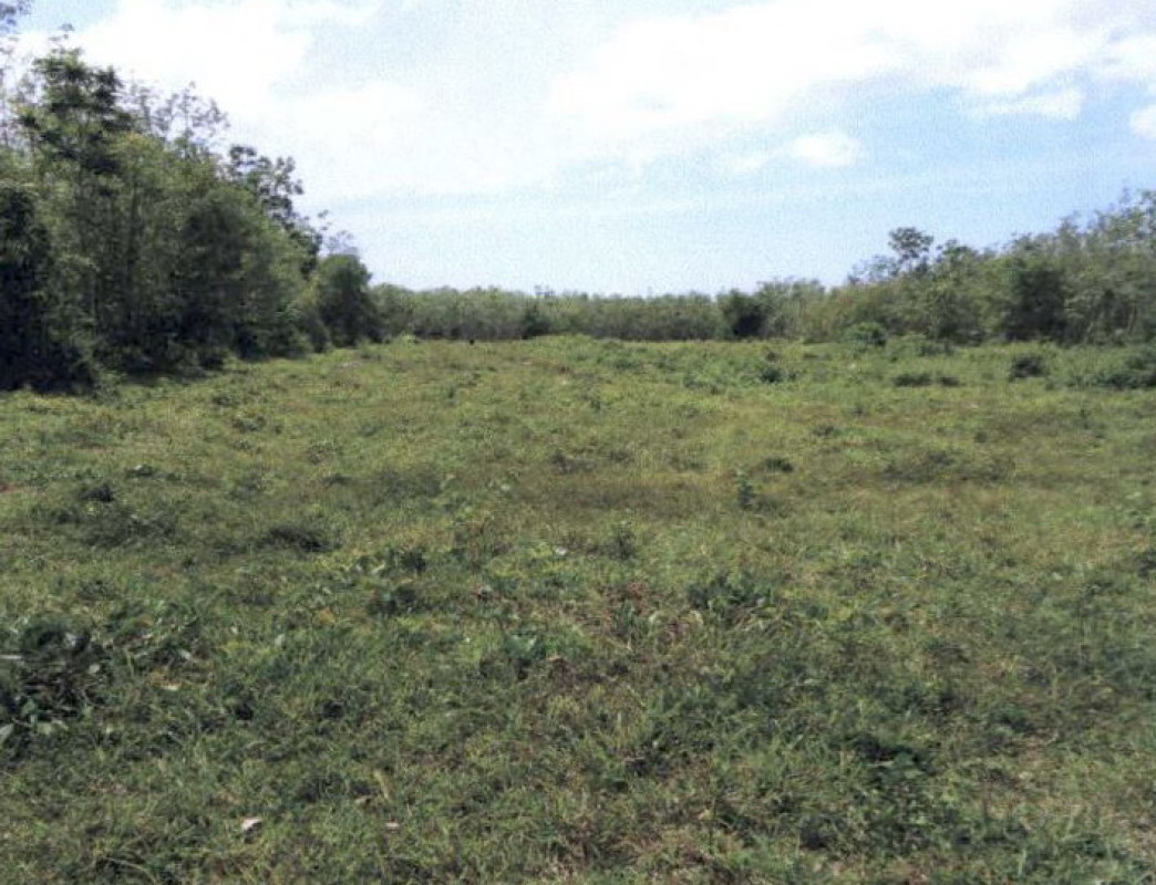 ที่ดินเปล่า พัทลุง เขาชัยสน ควนขนุน 320000