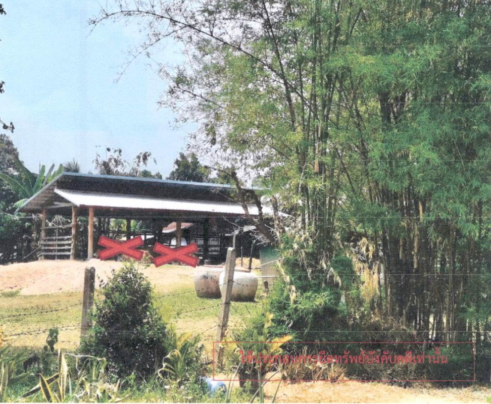 Single house Kalasin Somdet Nong Waeng 177000