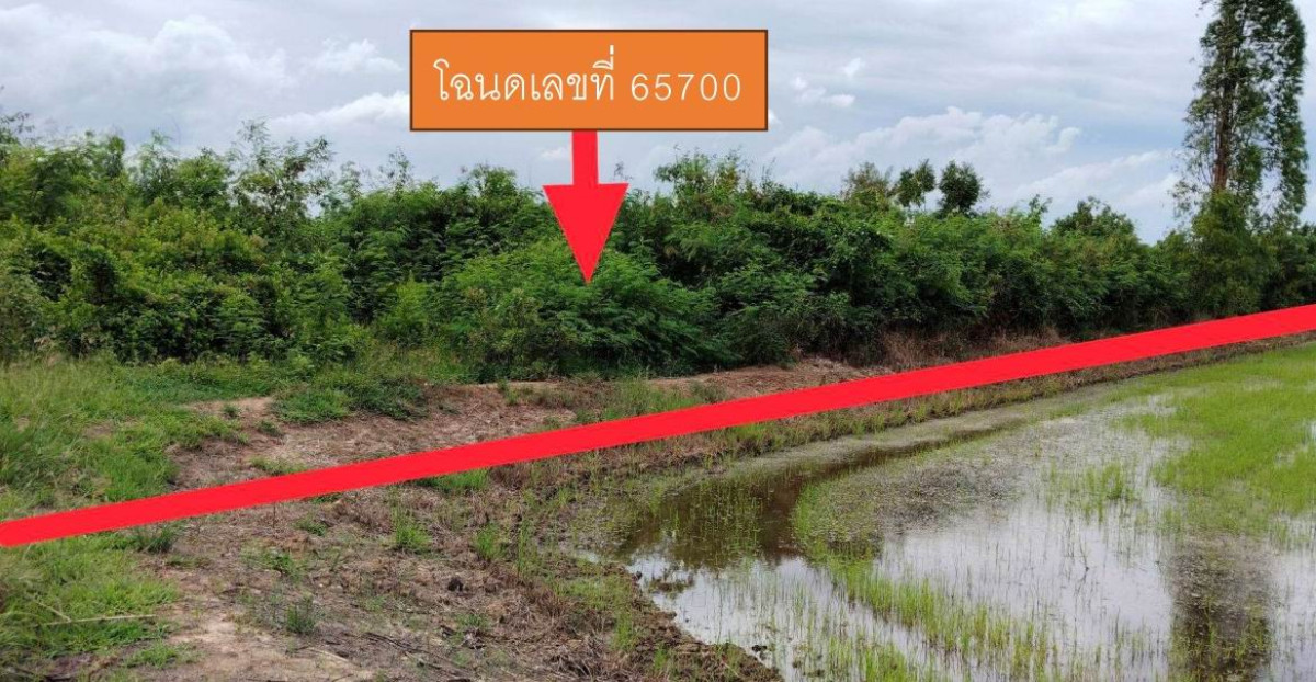 ที่ดินเปล่า นครปฐม กำแพงแสน กระตีบ 250500