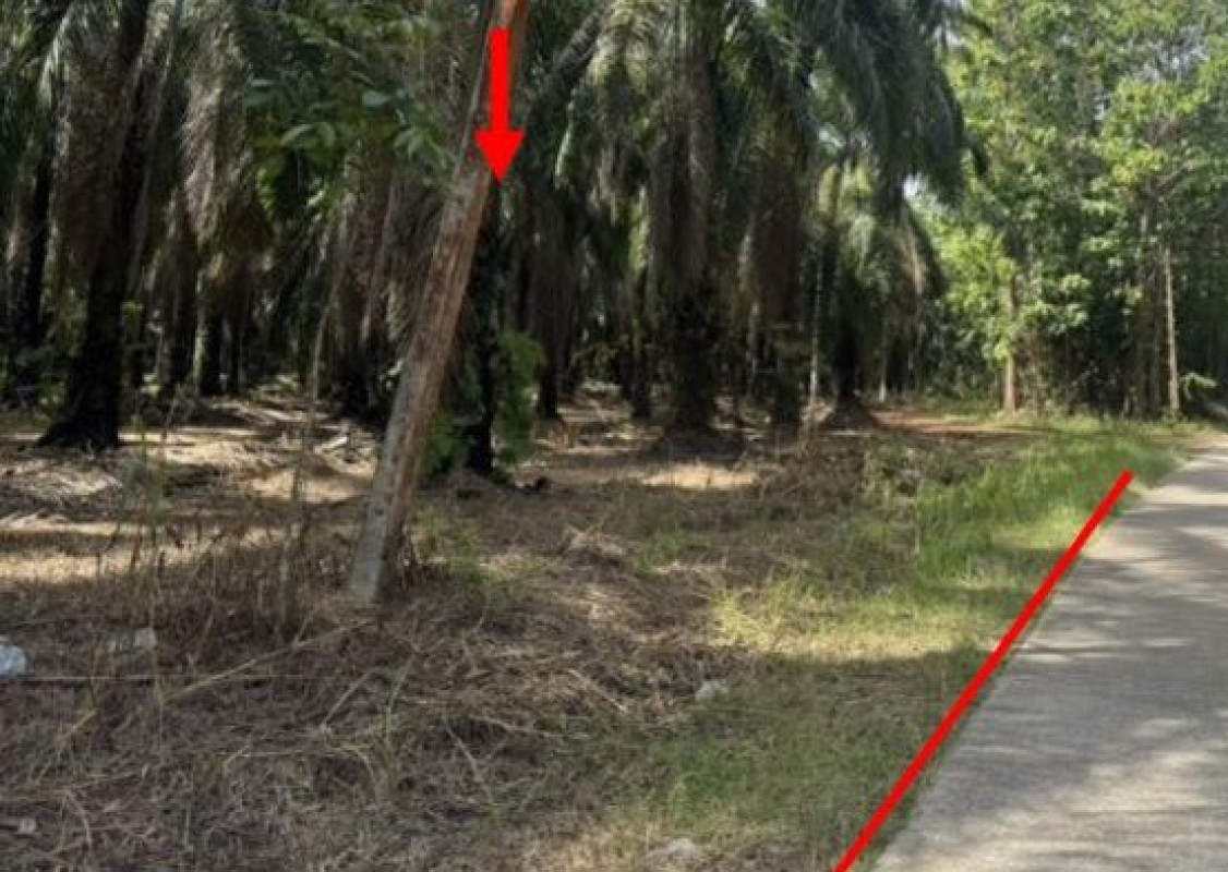 ที่ดินเปล่า สุราษฎร์ธานี ไชยา ป่าเว 4731933