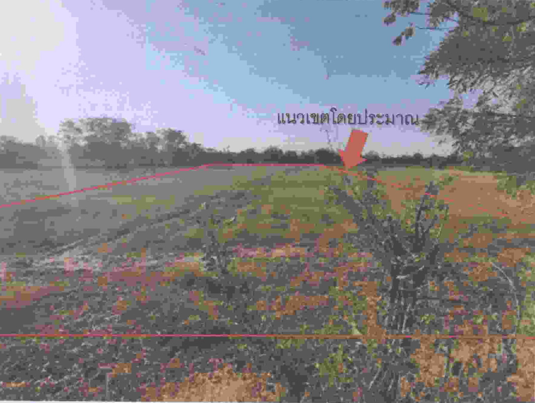 ที่ดินเปล่า นครราชสีมา ขามทะเลสอ พันดุง 1121150