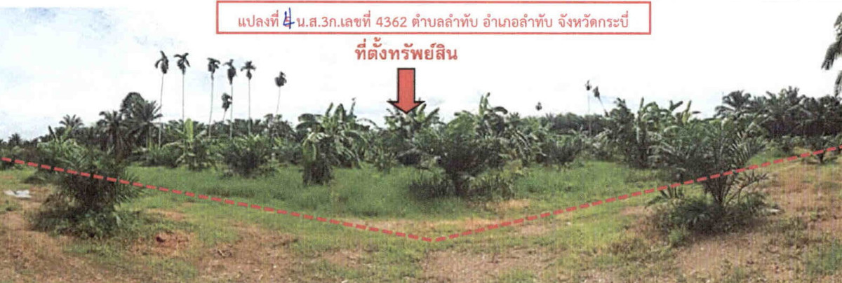 ที่ดินเปล่า กระบี่ ลำทับ ทุ่งไทรทอง 1272240