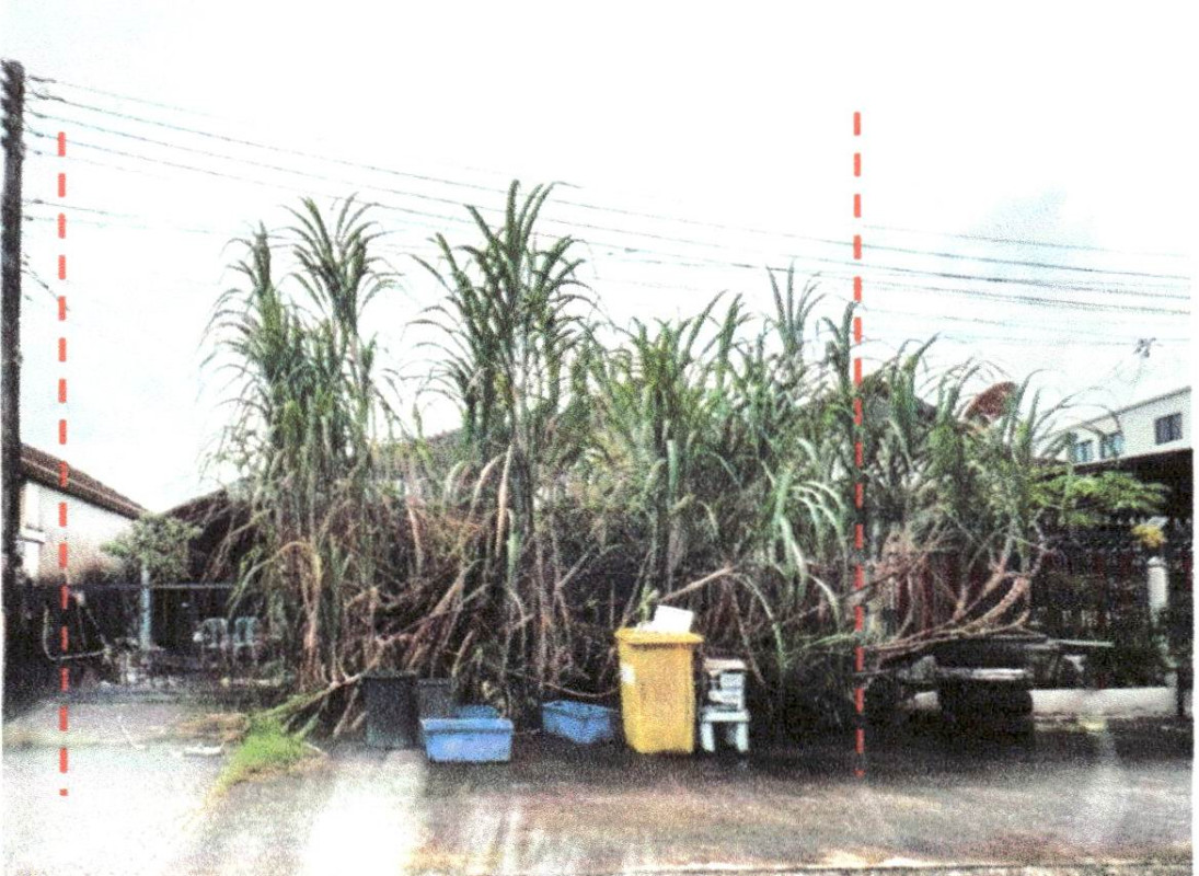 ทาวน์เฮ้าส์ ภูเก็ต เมืองภูเก็ต รัษฎา 3103000