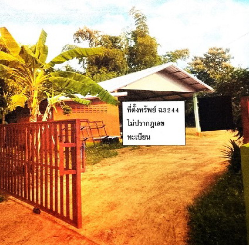 บ้านเดี่ยว สกลนคร พังโคน ต้นผึ้ง 584676