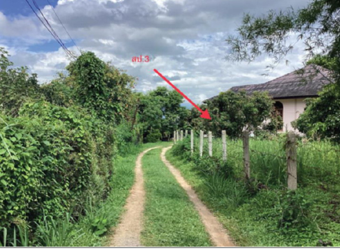 บ้านเดี่ยว เชียงใหม่ เชียงดาว แม่นะ 2085465