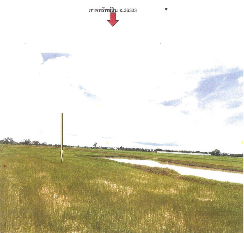 Residential land/lot Surin Chumphon Buri Yawuek 115000