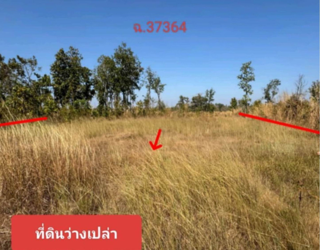 Residential land/lot Sakon Nakhon Phanna Nikhom Sawang 132440