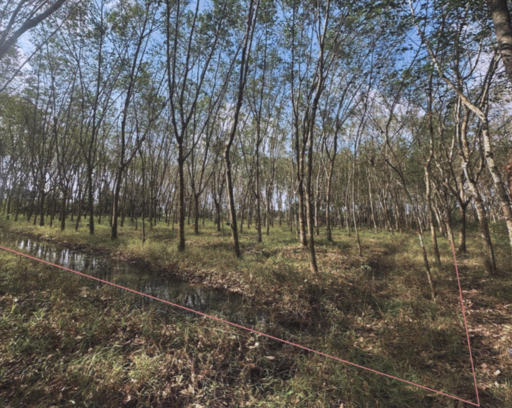 Residential land/lot Phatthalung Kong Ra Som Wang 85605