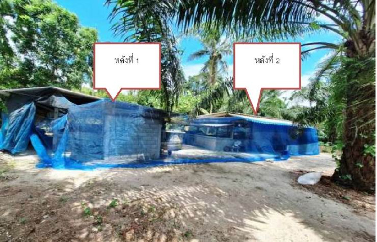 บ้านเดี่ยว นครศรีธรรมราช เฉลิมพระเกียรติ ทางพูน 157200