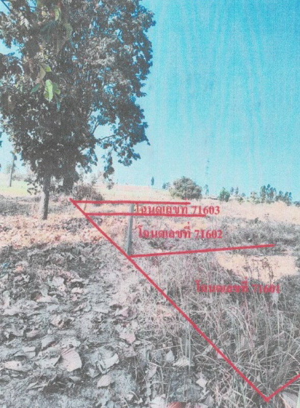 ที่ดินเปล่า ขอนแก่น บ้านไผ่ หินตั้ง 12500