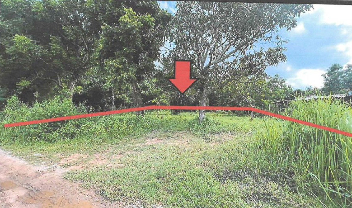 Residential land/lot Khon Kaen Mueang Khon Kaen Bueng Niam 437500