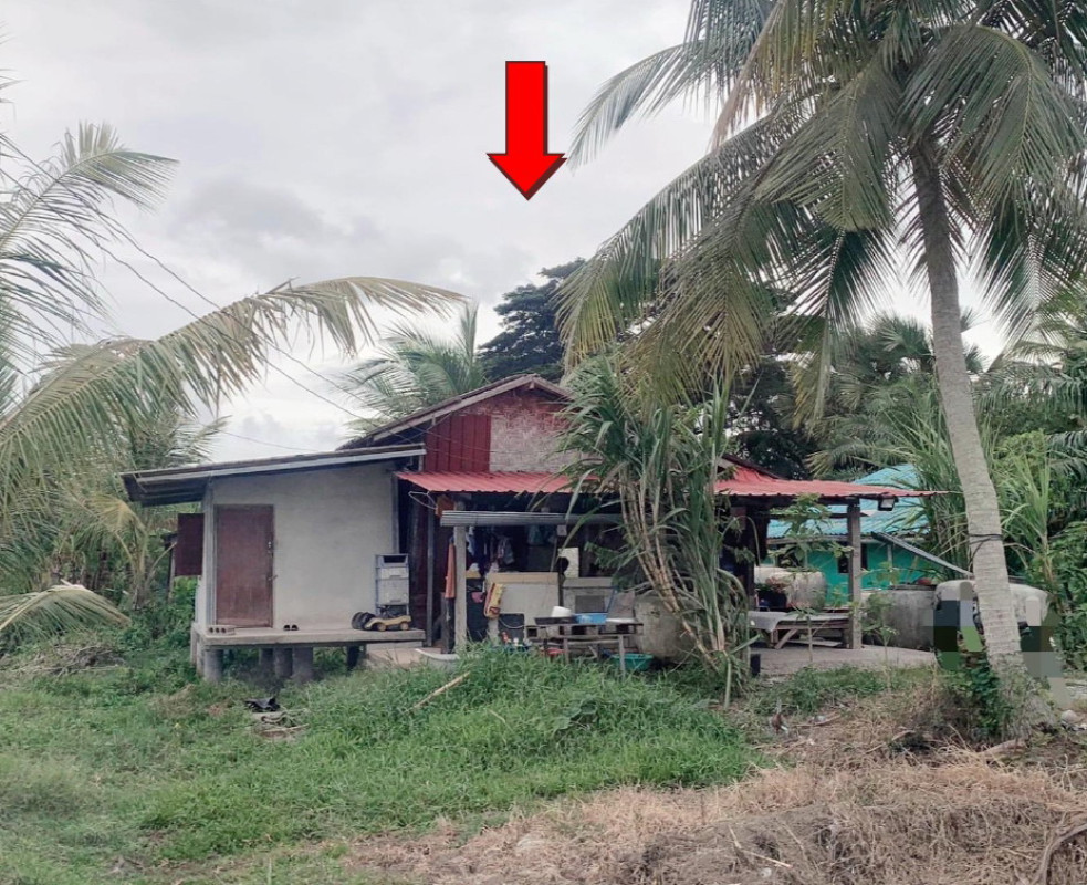 บ้านเดี่ยว นครศรีธรรมราช เชียรใหญ่ เชียรใหญ่ 431000