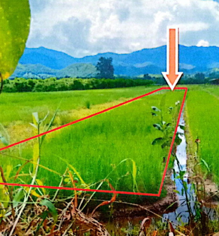 Residential land/lot Lamphun Ban Hong Pa Phlu 103800