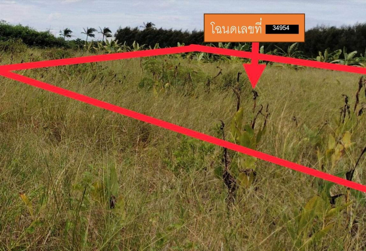 Residential land/lot Nakhon Pathom Kamphaeng Saen Kratip 172600