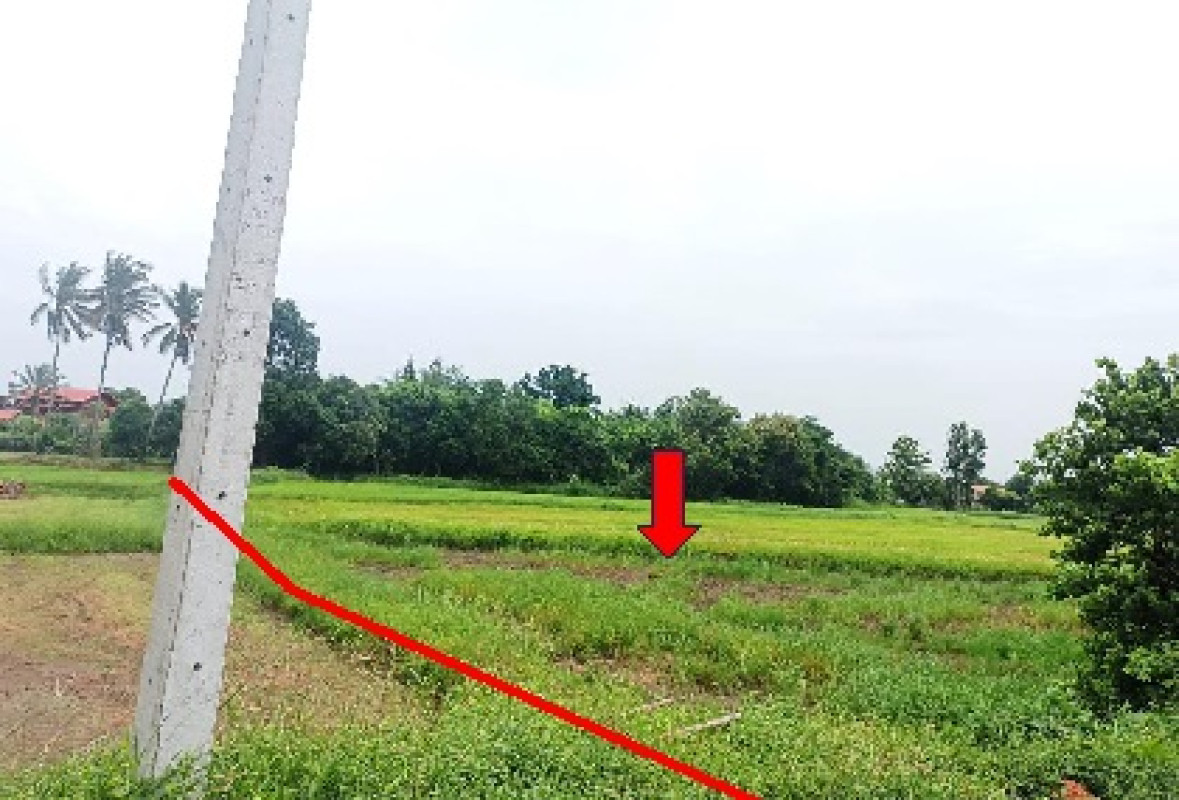 Residential land/lot Khon Kaen Ban Fang Pa Manao 93800