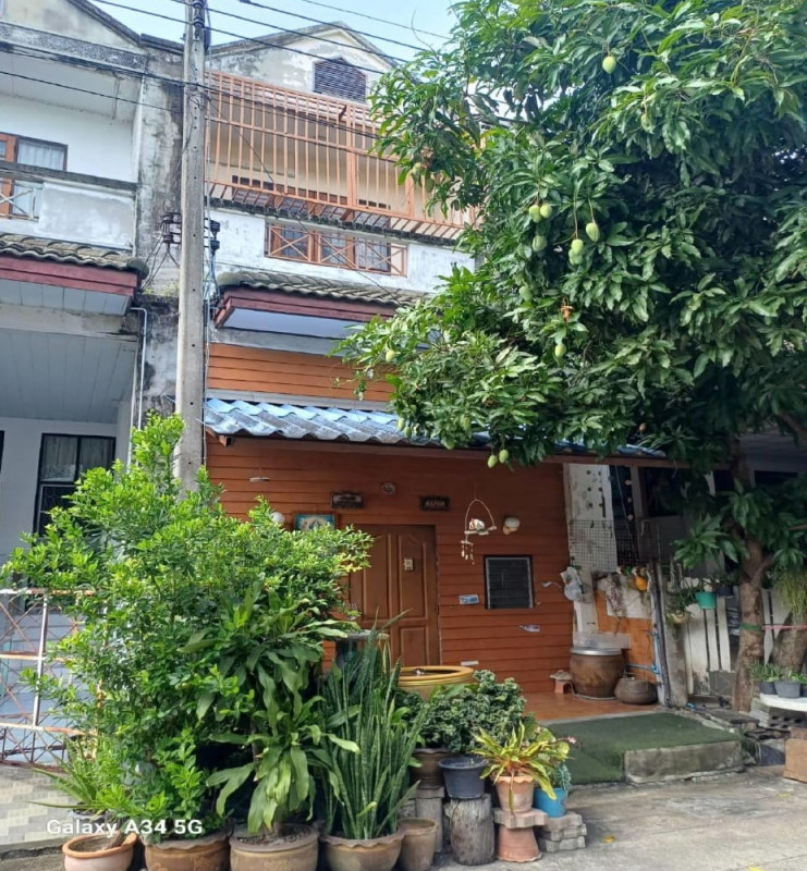 ทาวน์เฮ้าส์ นครปฐม สามพราน ท่าตลาด 785815