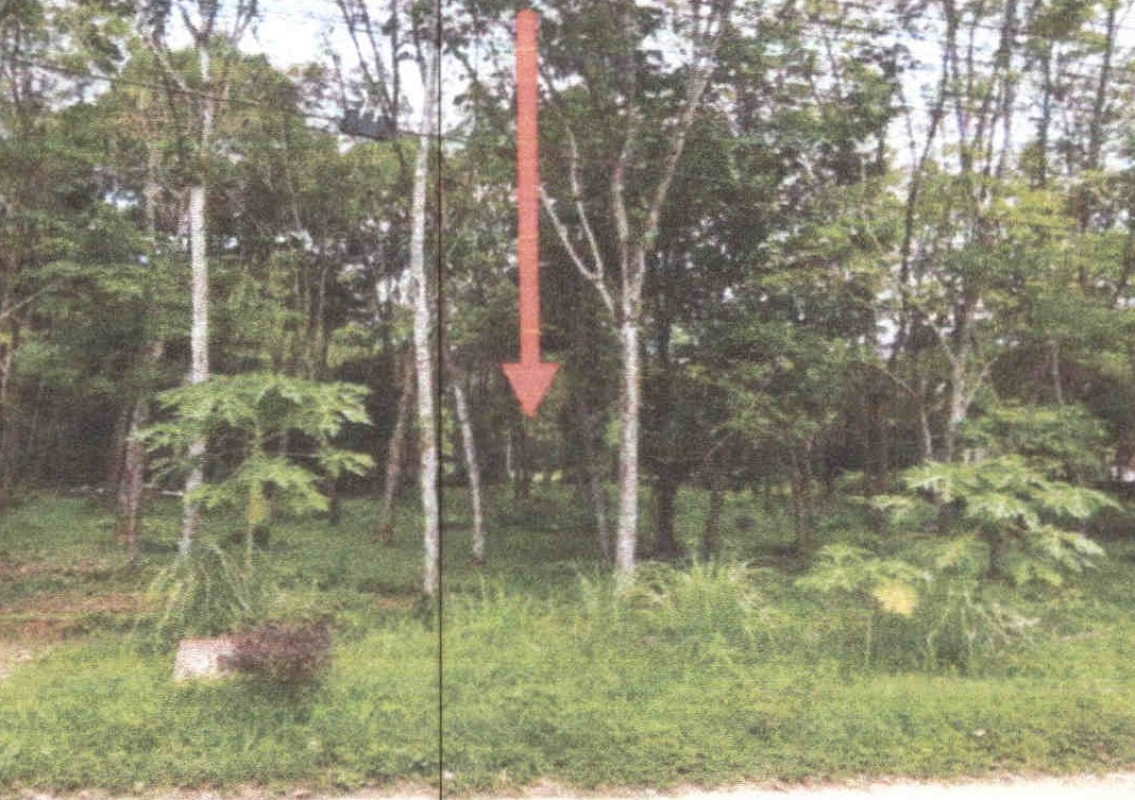 Residential land/lot Phatthalung Mueang Phatthalung Chai Buri 709910