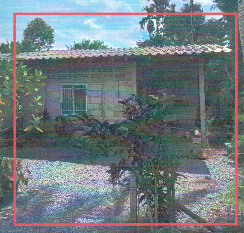 บ้านเดี่ยว นครศรีธรรมราช ทุ่งสง ที่วัง 483270