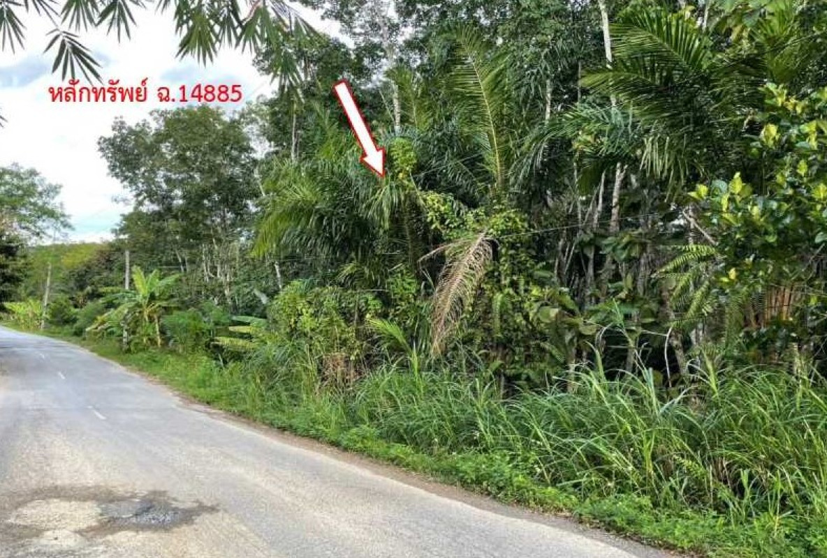 Residential land/lot Nakhon Si Thammarat Na Bon Thung Song 470250