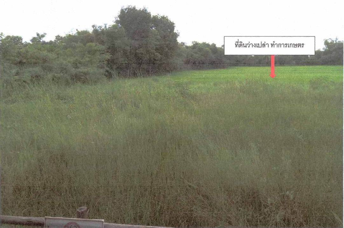 Residential land/lot Nong Khai Mueang Nong Khai Pho Chai 1289750