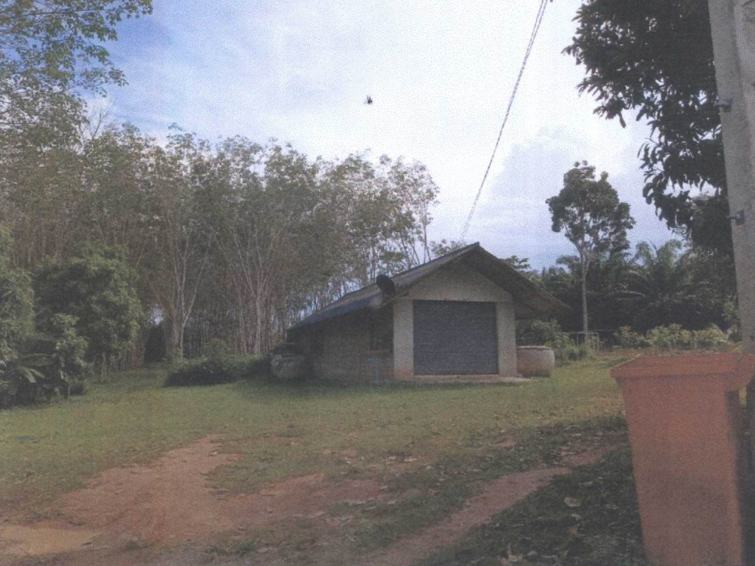 บ้านเดี่ยว สุราษฎร์ธานี ชัยบุรี สองแพรก 308969