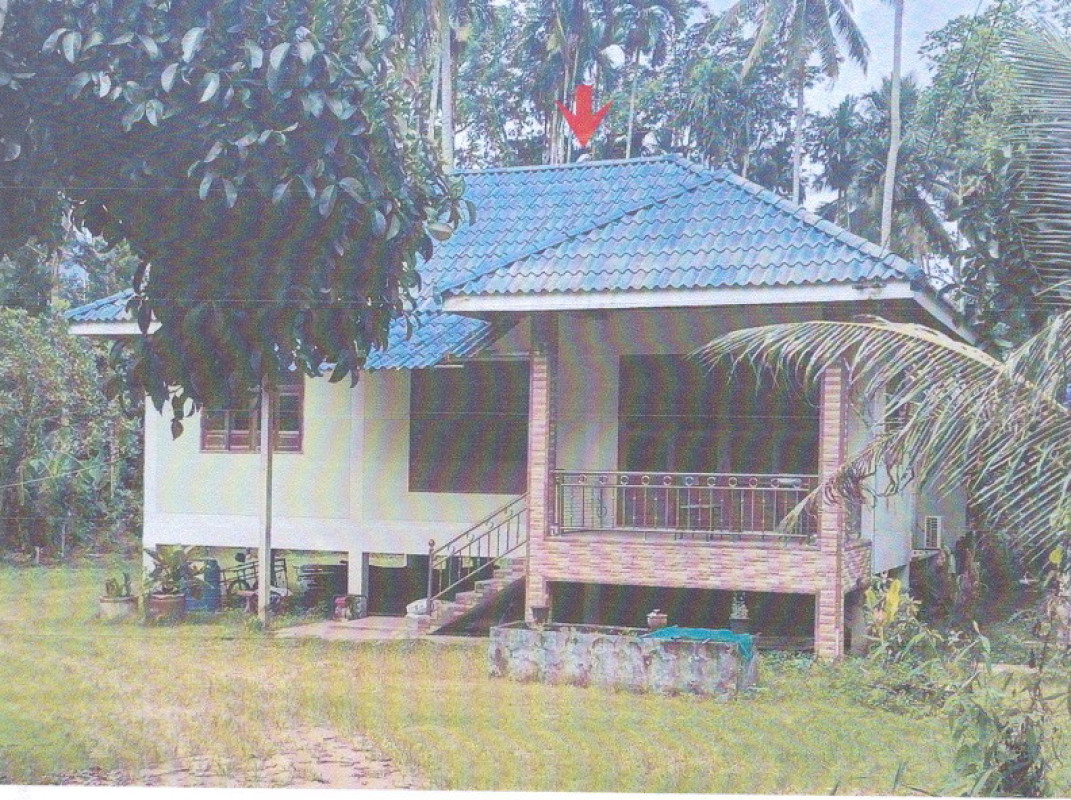 บ้านเดี่ยว นครศรีธรรมราช ฉวาง ละอาย 1628925