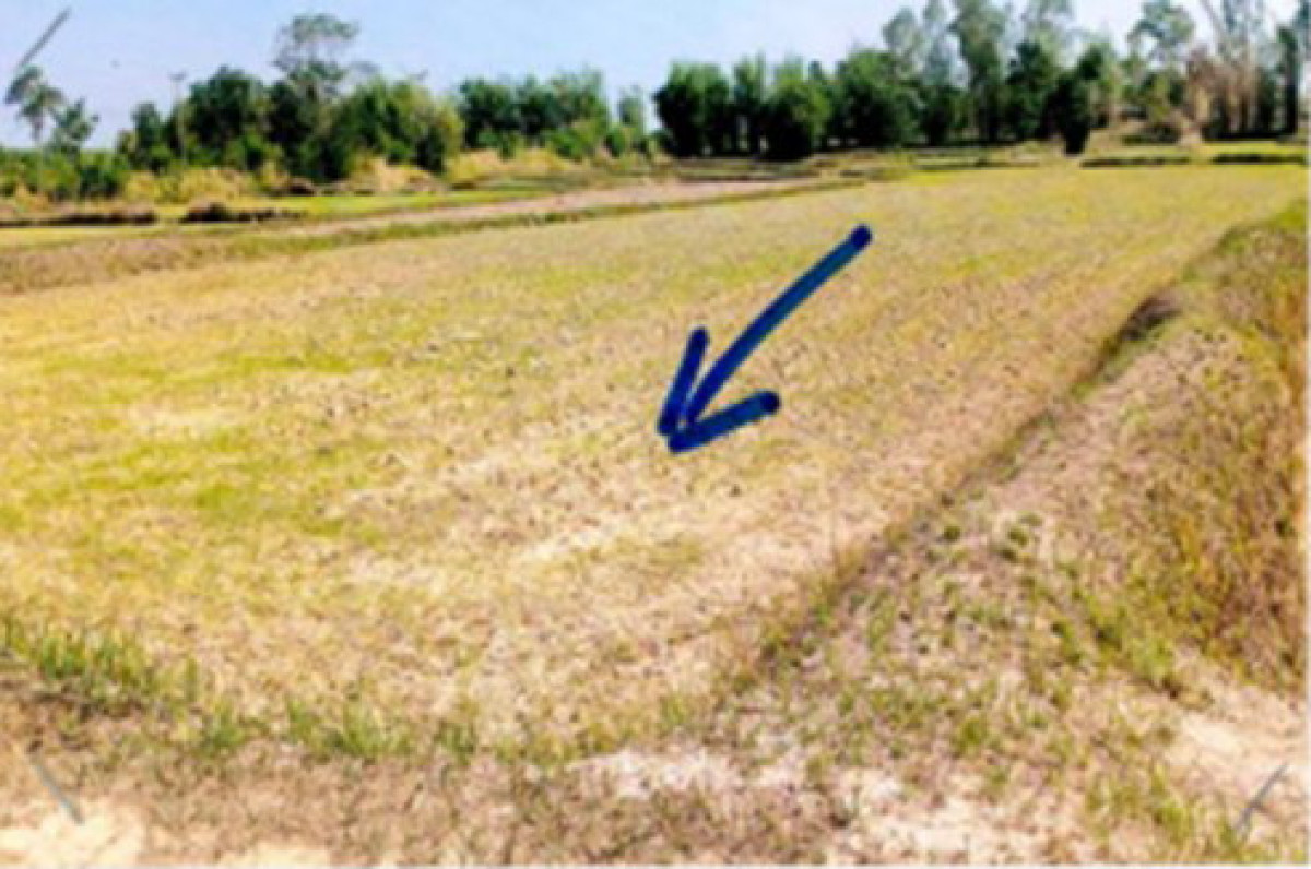 ที่ดินเปล่า นครพนม ธาตุพนม นาหนาด 216000