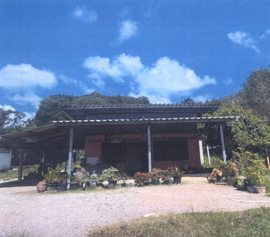 บ้านเดี่ยว พัทลุง ควนขนุน พนมวังก์ 415860