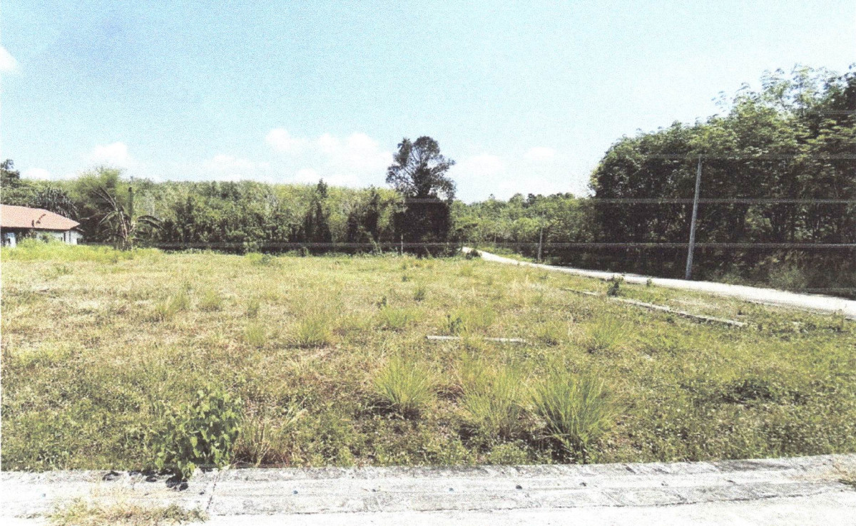 ที่ดินเปล่า ภูเก็ต ถลาง ไม้ขาว 1901125