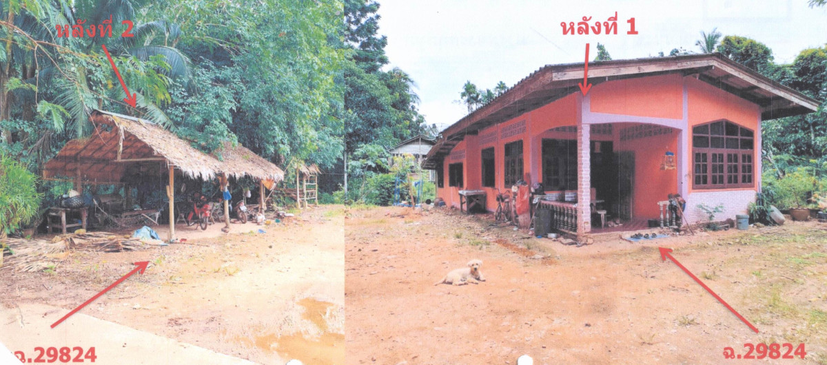 บ้านเดี่ยว สงขลา นาทวี ท่าประดู่ 307700