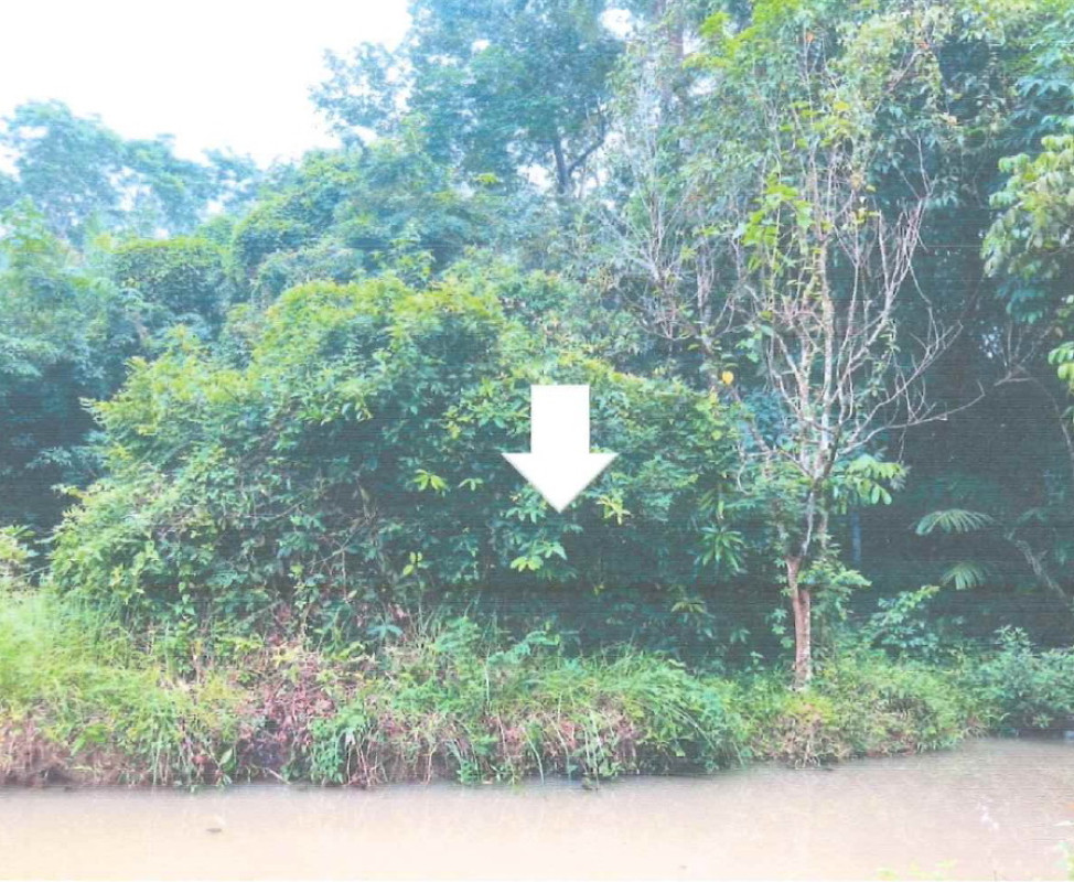 ที่ดินเปล่า นราธิวาส เจาะไอร้อง มะรือโบออก 10330