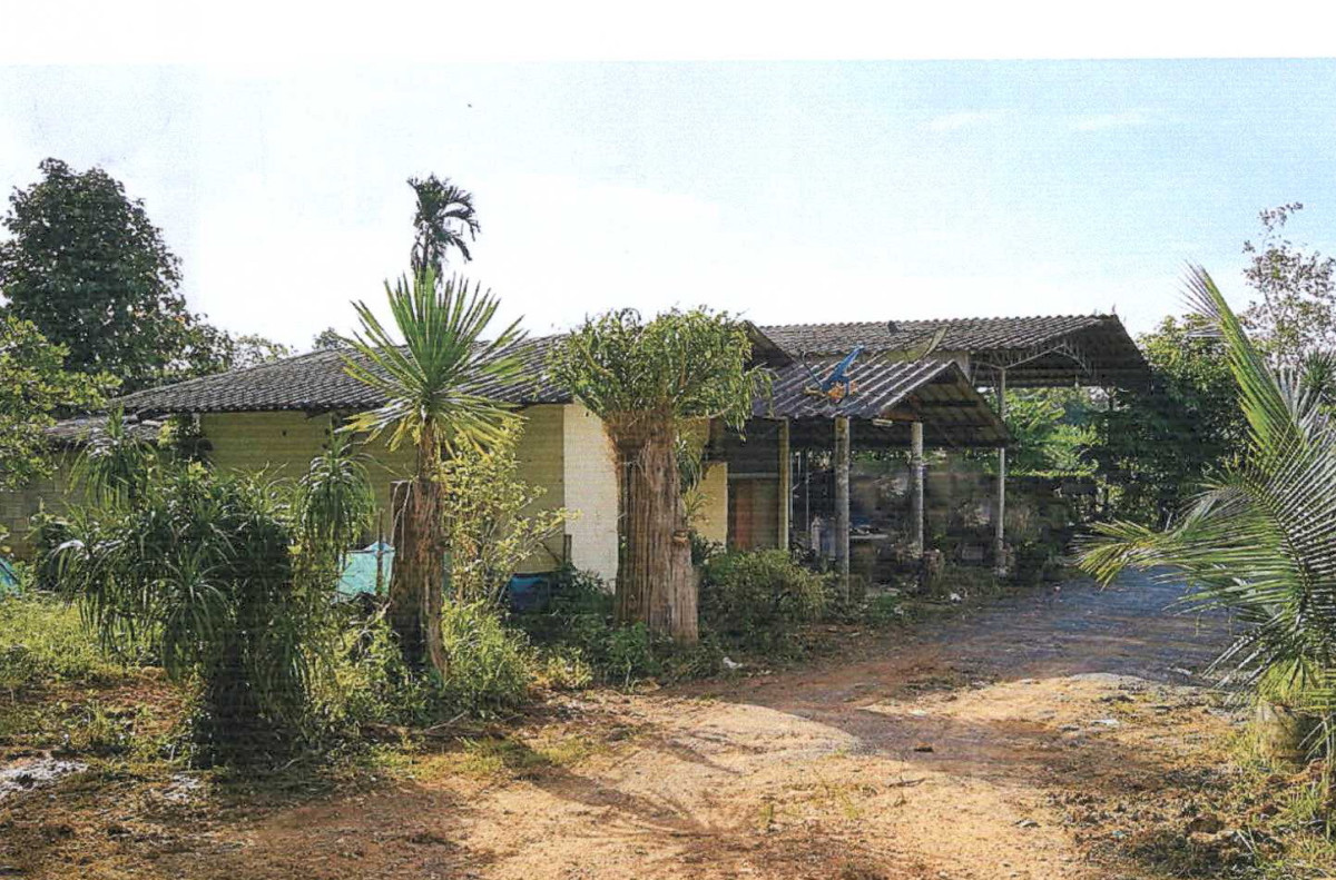 บ้านเดี่ยว นครศรีธรรมราช บางขัน บ้านลำนาว 1364000