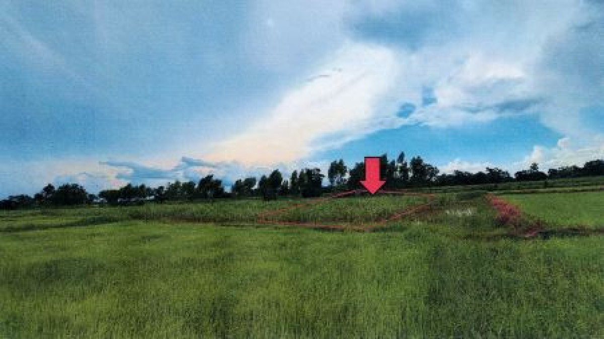 Residential land/lot Khon Kaen Mueang Khon Kaen Don Chang 100000