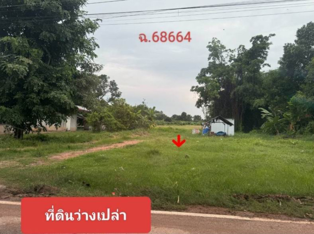 Residential land/lot Kalasin Yang Talat Na Chueak 160000