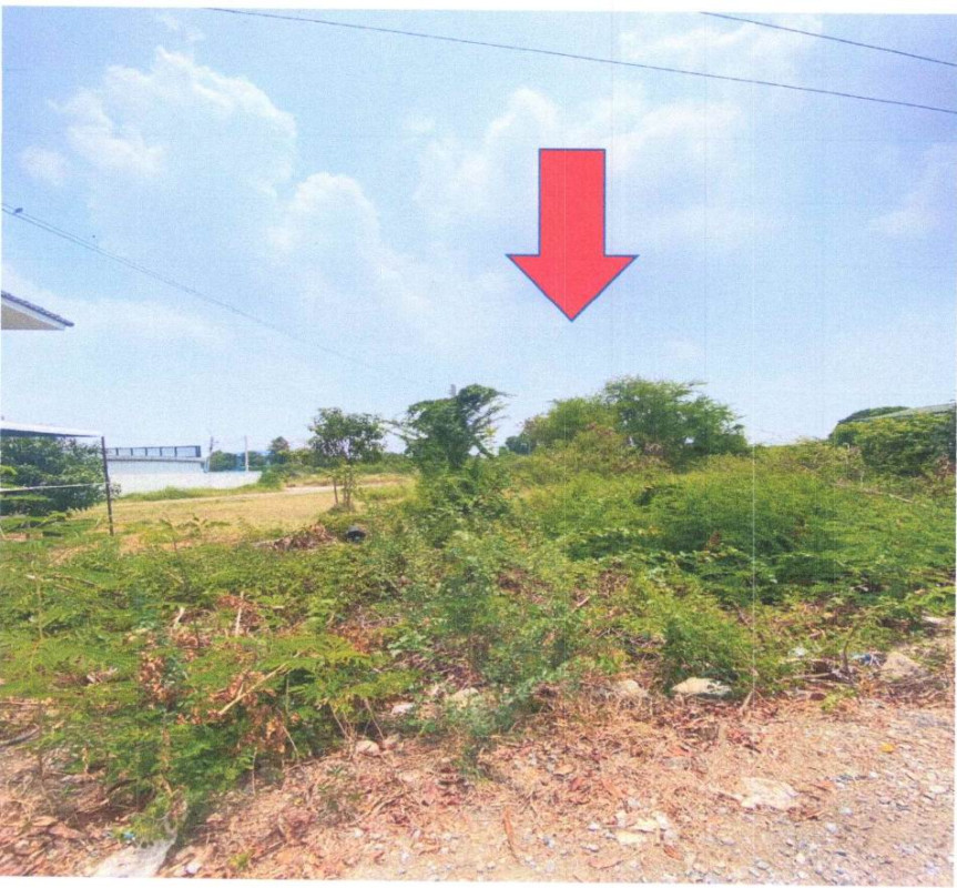 ที่ดินเปล่า นนทบุรี บางบัวทอง บางรักพัฒนา 132990