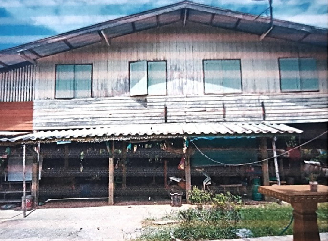 บ้านเดี่ยว อ่างทอง โพธิ์ทอง อินทประมูล 229865