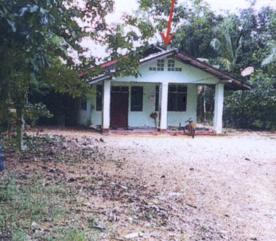 บ้านเดี่ยว พัทลุง ปากพะยูน ฝาละมี 464880