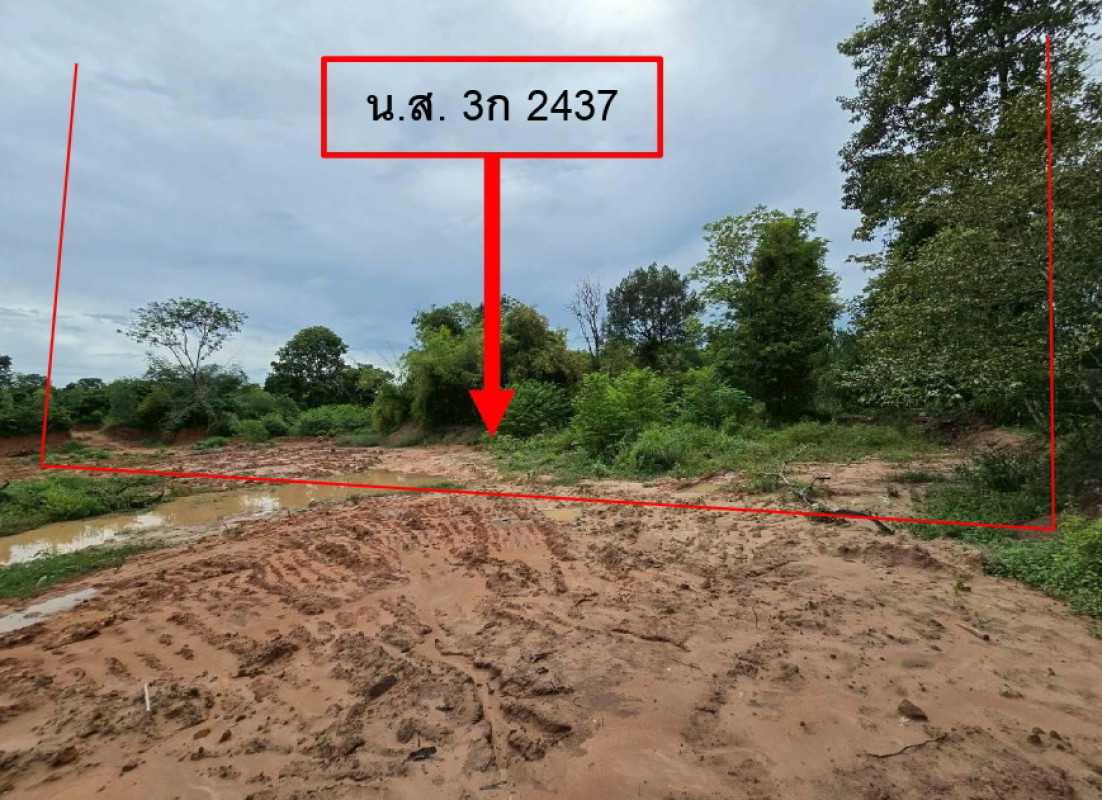 ที่ดินเปล่า สุรินทร์ รัตนบุรี น้ำเขียว 139480