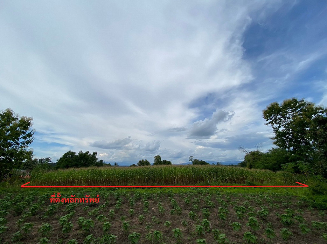 ที่ดินเปล่า พะเยา ปง ควร 335500